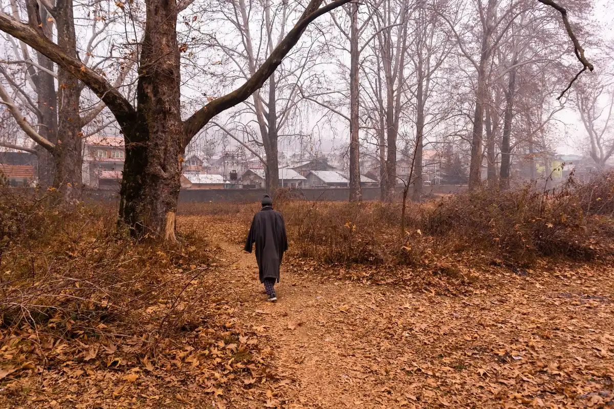 A person walking a quiet path, doing the personal healing work after betrayal
