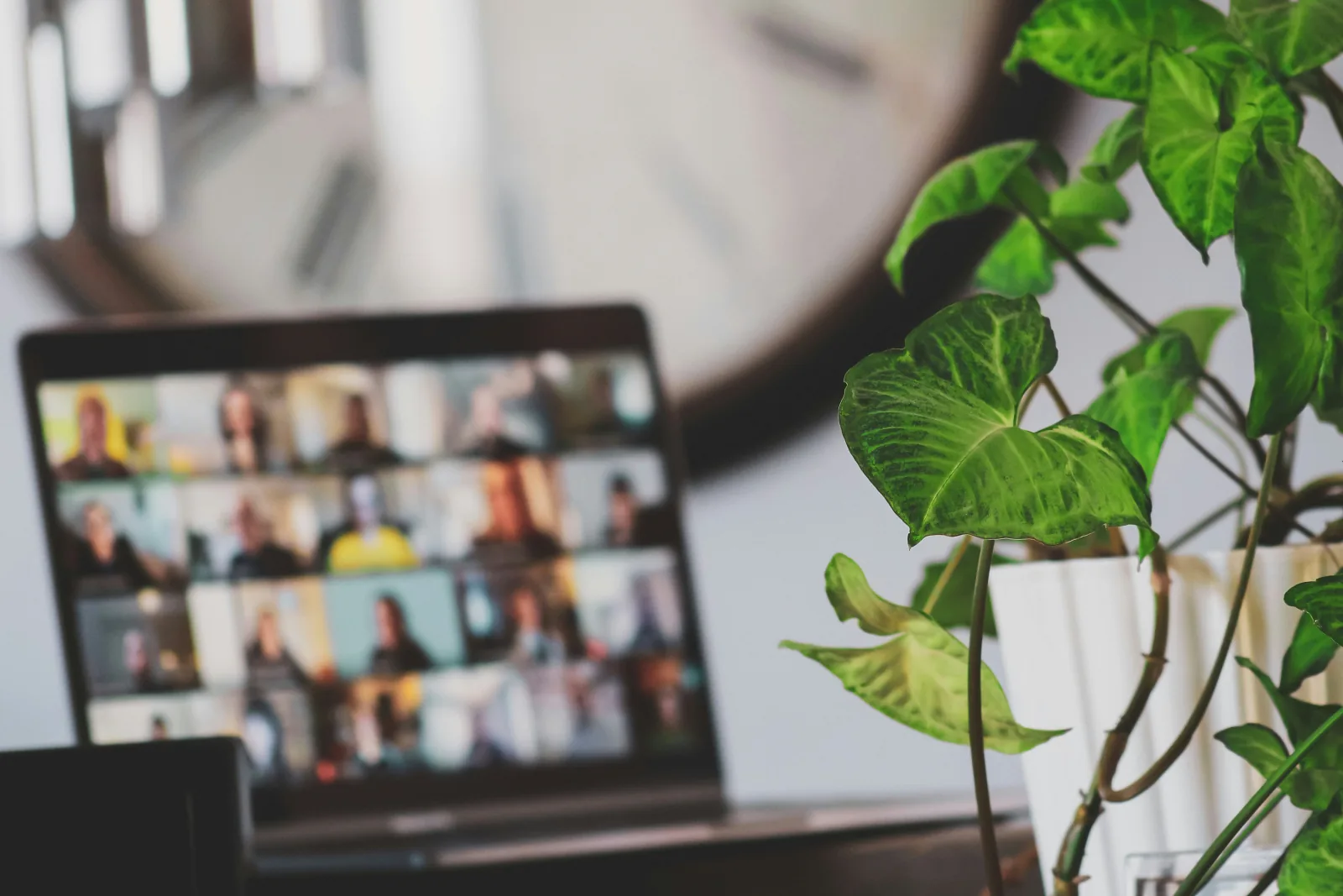 A laptop on a desk showing a video call with a grid of faces, a houseplant in the foreground