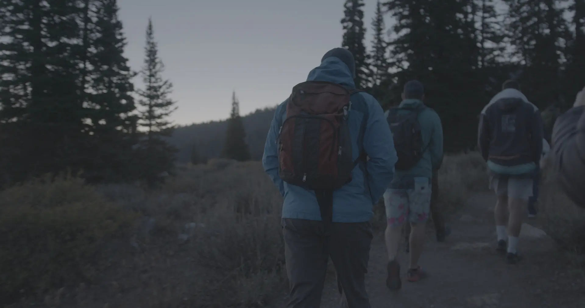 Men hiking with backpacks toward a pine forest at dusk